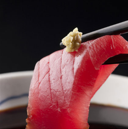 ALBACORE TUNA